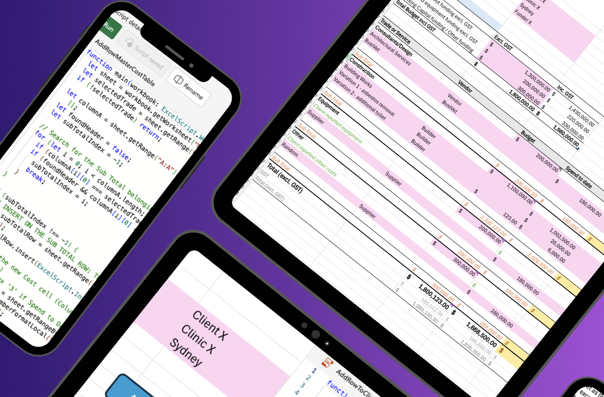 Automated Budget Tracker showing categorised budget spreadsheet with ExcelScript automation